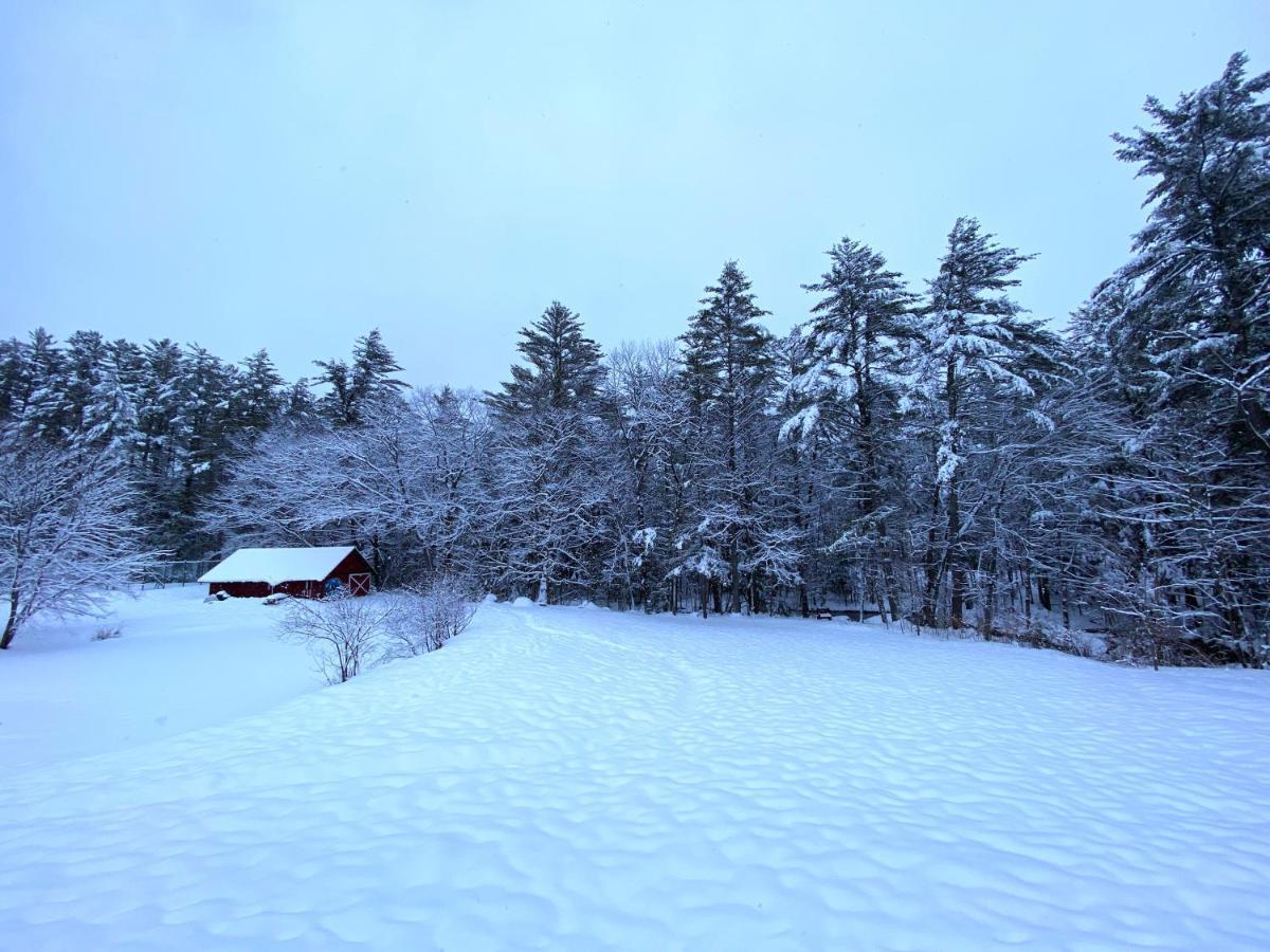 Cranmore Mountain Lodge Bed & Breakfast นอร์ทคอนเวย์ ภายนอก รูปภาพ