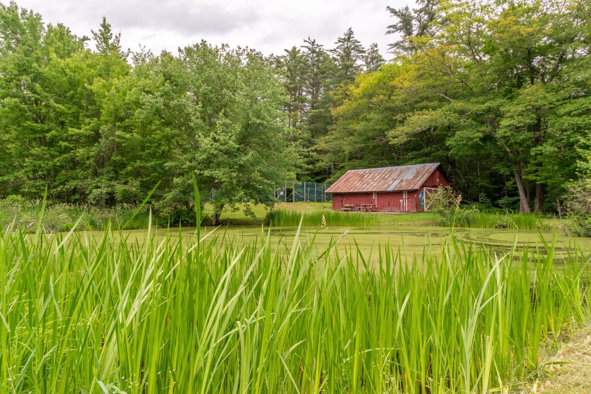Cranmore Mountain Lodge Bed & Breakfast นอร์ทคอนเวย์ ภายนอก รูปภาพ